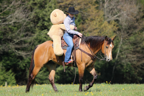 HorseID: 2249906 Bubbles - PhotoID: 1049438