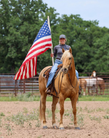 HorseID: 2249907 Money Buck - PhotoID: 1081215
