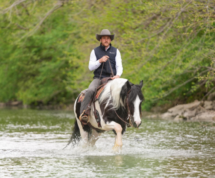 HorseID: 2249911 Jasper - PhotoID: 1089899
