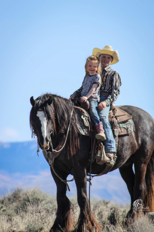 HorseID: 2253893 Sprinkles - PhotoID: 1045917