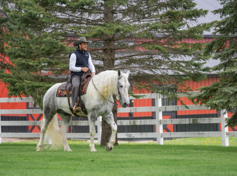 HorseID: 2260687 Mercury - PhotoID: 1045919