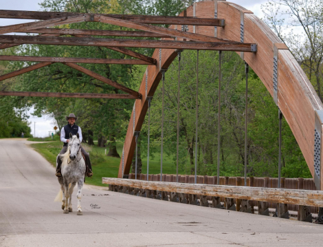HorseID: 2260687 Mercury - PhotoID: 1045920
