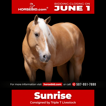 HorseID: 2261708 Doc Audie - PhotoID: 1029641