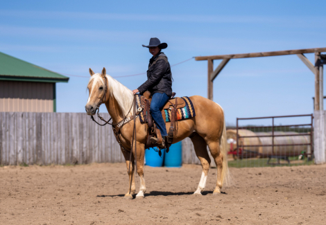 HorseID: 2261708 Doc Audie - PhotoID: 1062972