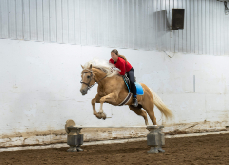 HorseID: 2261708 Doc Audie - PhotoID: 1062973