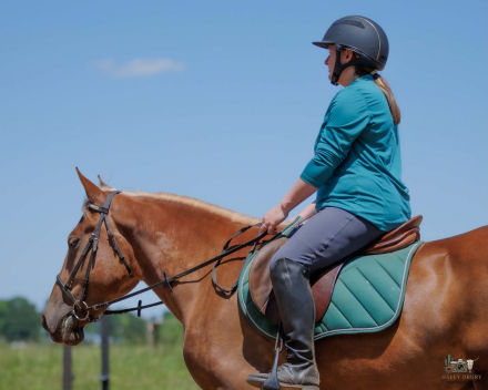 HorseID: 2262624 Duncan - PhotoID: 1032128