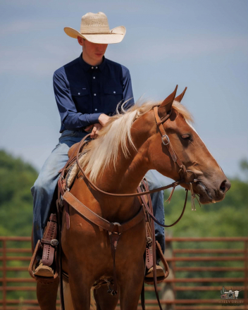 HorseID: 2262624 Duncan - PhotoID: 1032129