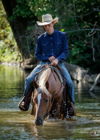 HorseID: 2262624 Duncan - PhotoID: 1062982