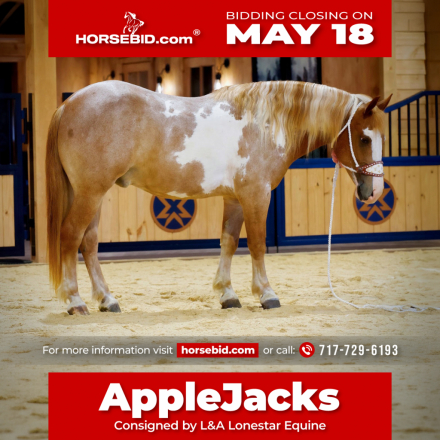 HorseID: 2271746 AppleJacks - PhotoID: 1043303