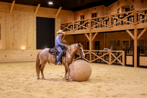 HorseID: 2271746 AppleJacks - PhotoID: 1069856