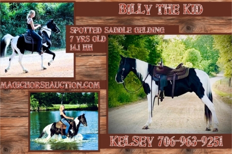 HorseID: 2272135 Billy The Kid - PhotoID: 1043867