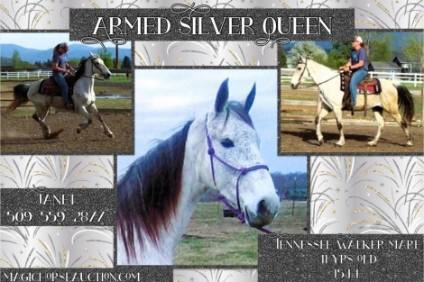 HorseID: 2272607 Armed Silver Queen - PhotoID: 1044455