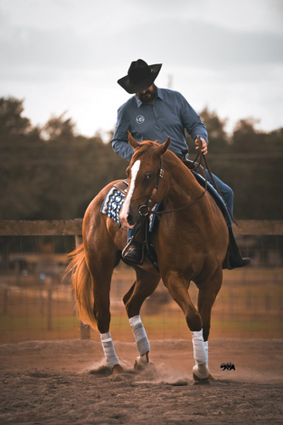 HorseID: 2275397 Kixstart My Heart - PhotoID: 1069072