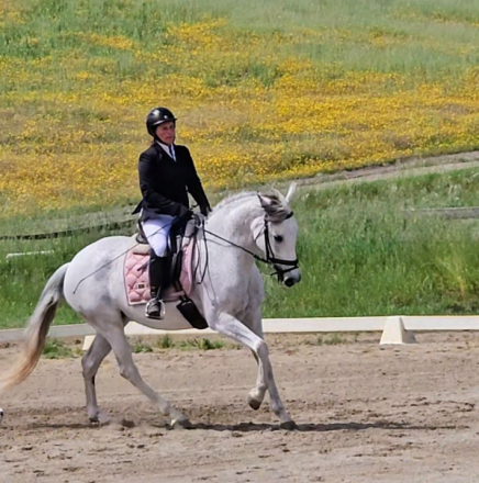 HorseID: 2279251 Avonlea - PhotoID: 1097622