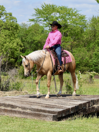 HorseID: 2280903 TR Nacho Business - PhotoID: 1055698