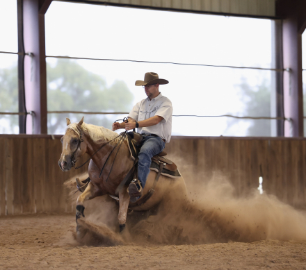 HorseID: 2280903 TR Nacho Business - PhotoID: 1055699