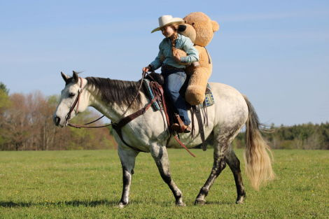 HorseID: 2280905 King kobra - PhotoID: 1055695