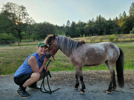 HorseID: 2285047 Esther of Israel - PhotoID: 1097788