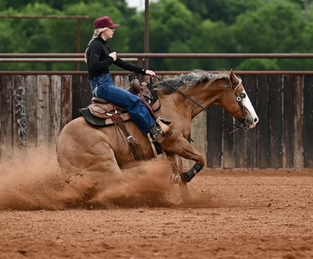 HorseID: 2287441 Holly Maq Gun - PhotoID: 1064623