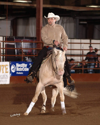 HorseID: 2288593 The Great White Hope by Nu Chex To Cash - PhotoID: 1065949