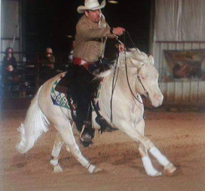 HorseID: 2288593 The Great White Hope by Nu Chex To Cash - PhotoID: 1065950