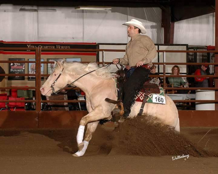 HorseID: 2288593 The Great White Hope by Nu Chex To Cash - PhotoID: 1065951