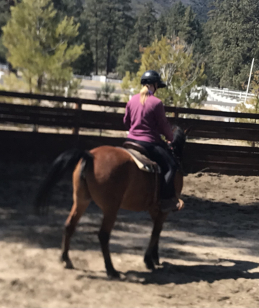 HorseID: 2291456 Gigi Jamaal - PhotoID: 1098795