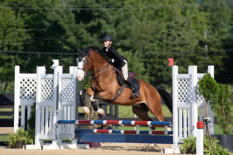 HorseID: 2292786 My Way - PhotoID: 1073896