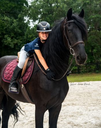 HorseID: 2294890 Samson - a true all around safe gorgeous Friesian - PhotoID: 1074465