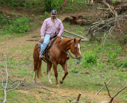HorseID: 2297463 A KID KERMIT - PhotoID: 1096226