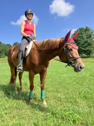 HorseID: 2299329 BEST BE BETTER - PhotoID: 1097807