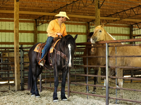 HorseID: 2301482 Spade - PhotoID: 1083535