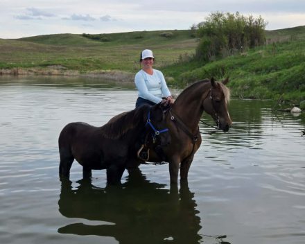 HorseID: 2302231 Prairie Hill Excalibur - PhotoID: 1090549