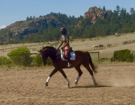 HorseID: 2302478 American Flag - PhotoID: 1097928