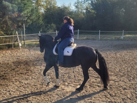 HorseID: 2302608 Deniva - PhotoID: 1084924