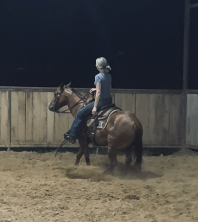 HorseID: 2302710 CHIKA - PhotoID: 1098291