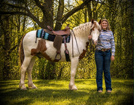 HorseID: 2303913 T-REX - PhotoID: 1099080