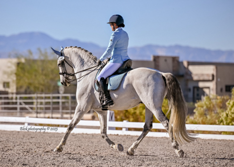 HorseID: 2304368 Santana - PhotoID: 1097286