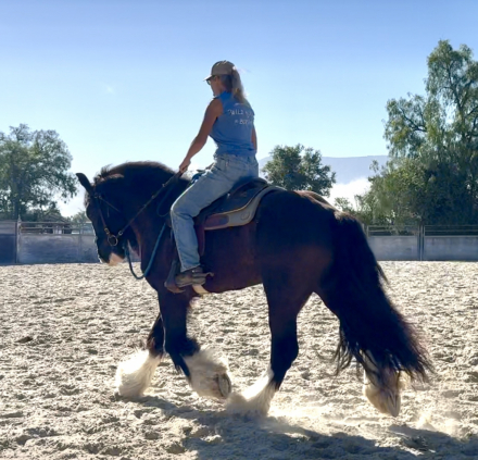 HorseID: 2305423 Magnum Opus - PhotoID: 1095291