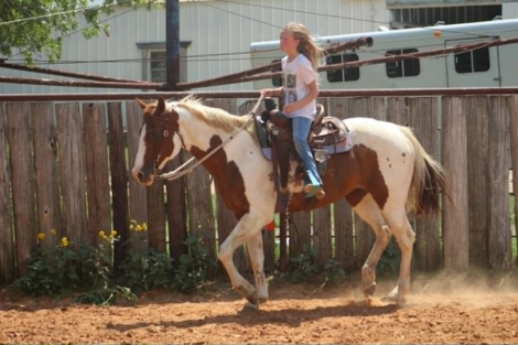 HorseID: 2305453 COWGIRL - PhotoID: 1099033