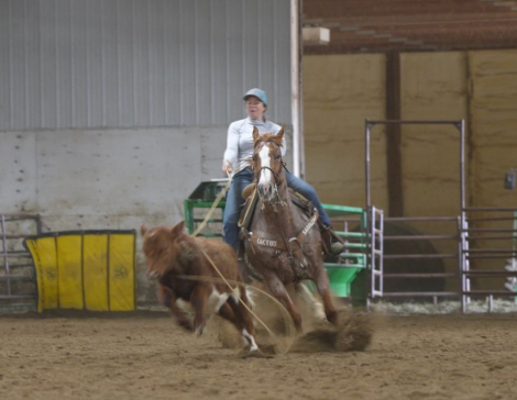 HorseID: 2305572 SMART ROYAL SPOON - PhotoID: 1089054