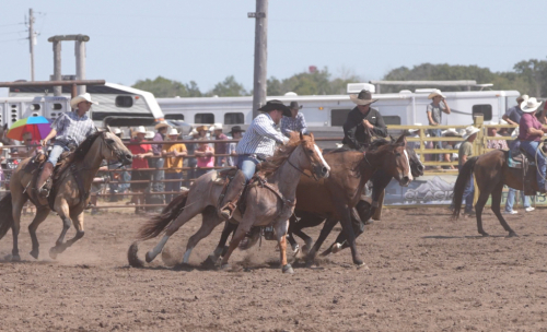 HorseID: 2305572 SMART ROYAL SPOON - PhotoID: 1089055