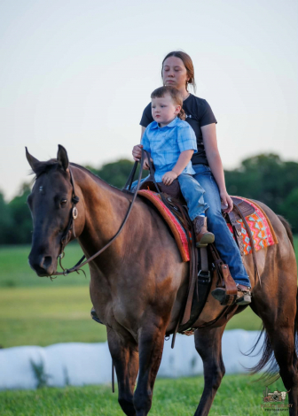 HorseID: 2305574 Laredo - PhotoID: 1097178
