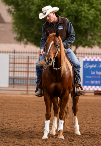 HorseID: 2309120 High Voltage - PhotoID: 1098741