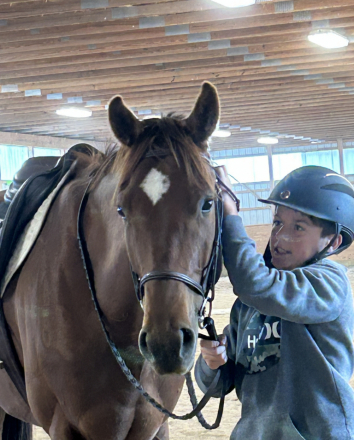 HorseID: 2309345 Gunner's Gold - PhotoID: 1093763