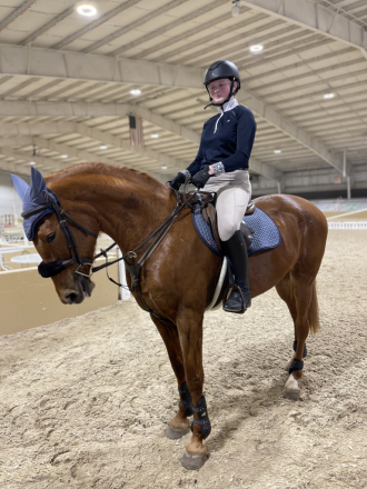 HorseID: 2310849 Martini Olive - PhotoID: 1097300