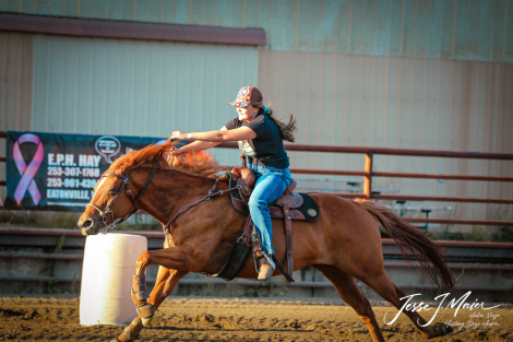 HorseID: 2311430 Tricky - PhotoID: 1098771
