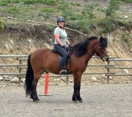 HorseID: 2311973 Leo from Tuskast - PhotoID: 1096995