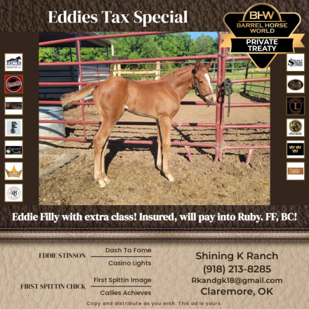 HorseID: 2312018 Eddies Tax Special - PhotoID: 1097379