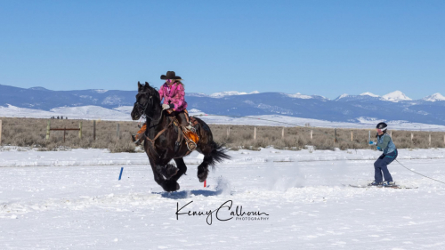 HorseID: 2312267 Romeo - PhotoID: 1097318